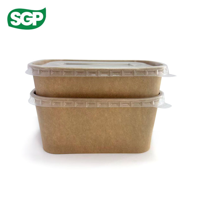 Plain Rectangular Paper Bowl with Plastic Lid | Disposable Food Packaging