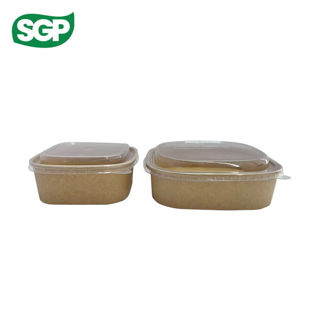 Plain Rectangular Paper Bowl with Plastic Lid | Disposable Food Packaging