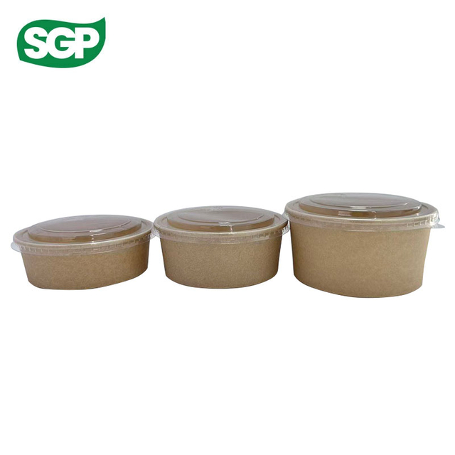 Plain Rectangular Paper Bowl with Plastic Lid | Disposable Food Packaging