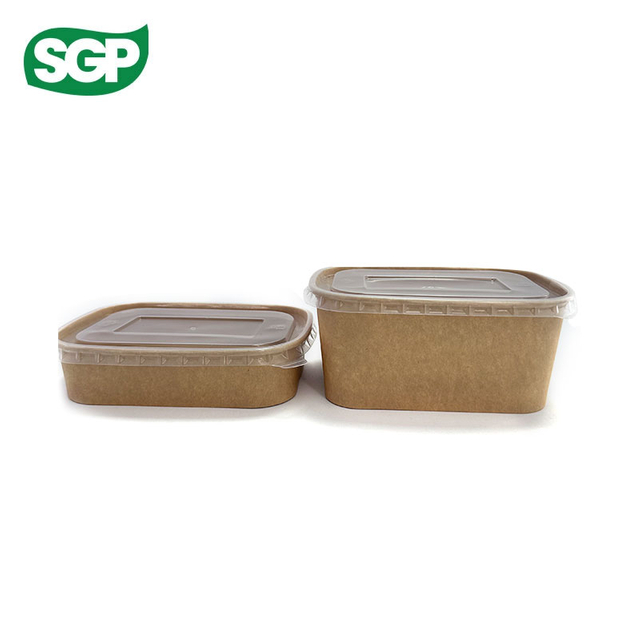 Plain Rectangular Paper Bowl with Plastic Lid | Disposable Food Packaging