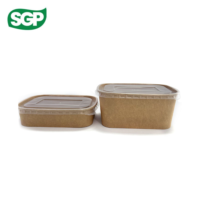 Plain Rectangular Paper Bowl with Plastic Lid | Disposable Food Packaging
